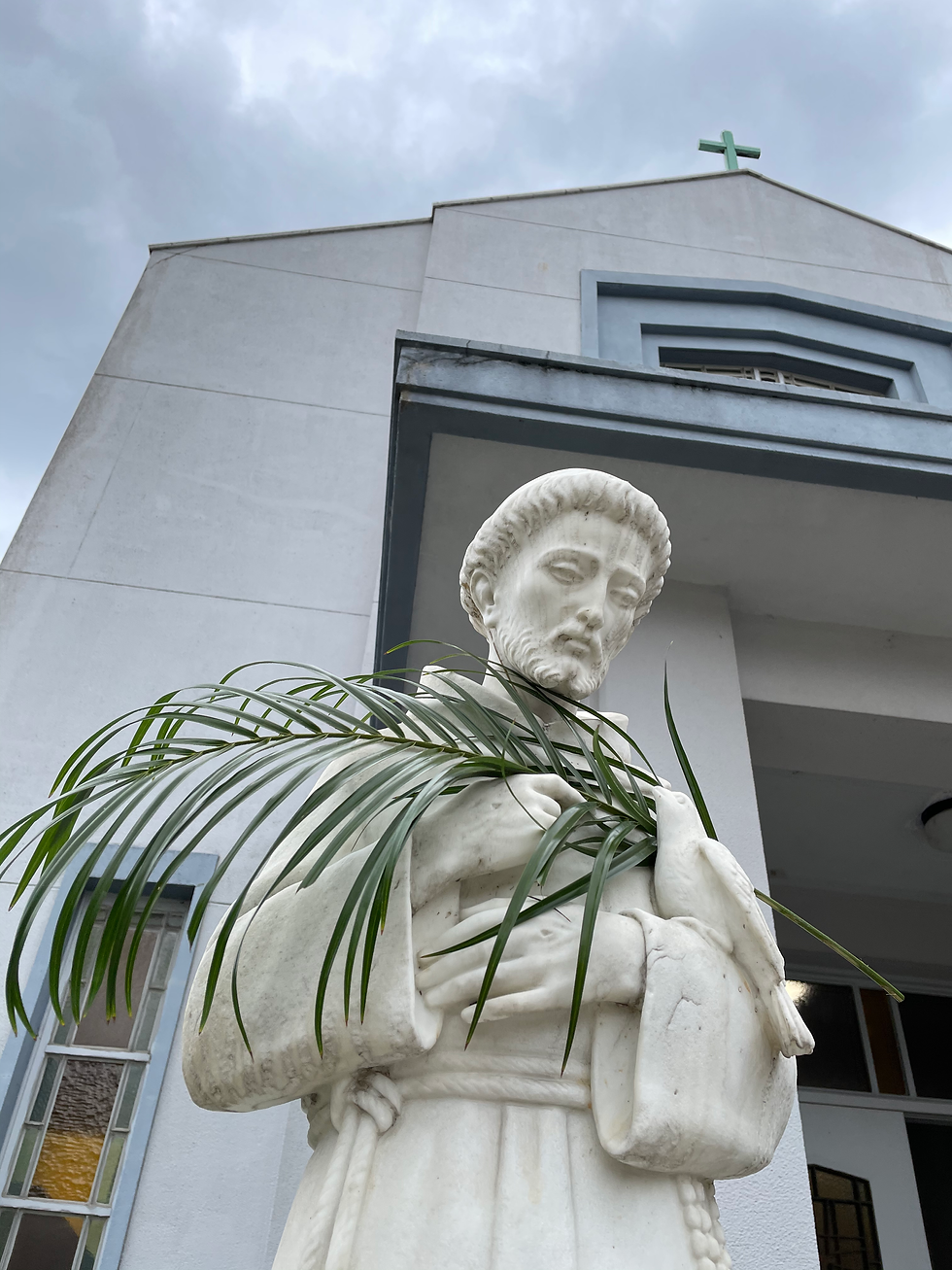 聖フランシスコ年　〜希望の巡礼は続く〜