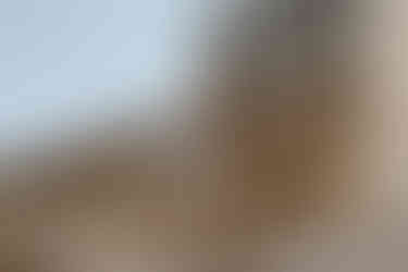 a downtown Chicago engagement