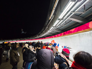 The Luge