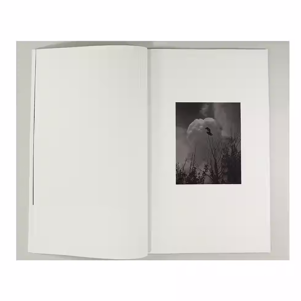 Miniatura: Half a Chisel to the Earth - Tommy Nease