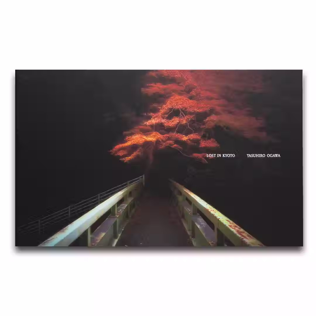 Lost in Kyoto - Yasuhiro Ogawa