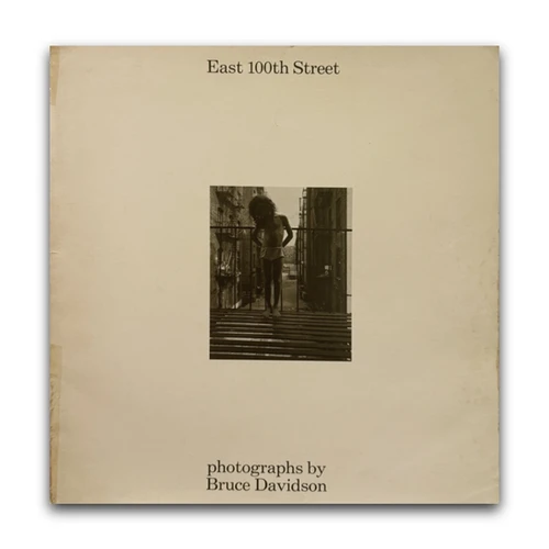 100th Street - Bruce Davidson | Dartbooks