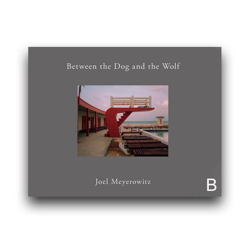 Between the Dog and the Wolf - Joel Meyerowitz | Dartbooks