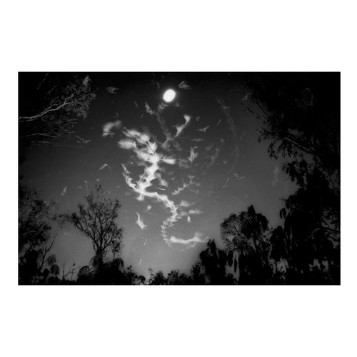 Trent Parke: Minutes to Midnight未開封新品 Amazon | Minutes to Midnight | Parke, Trent | Photo Essays