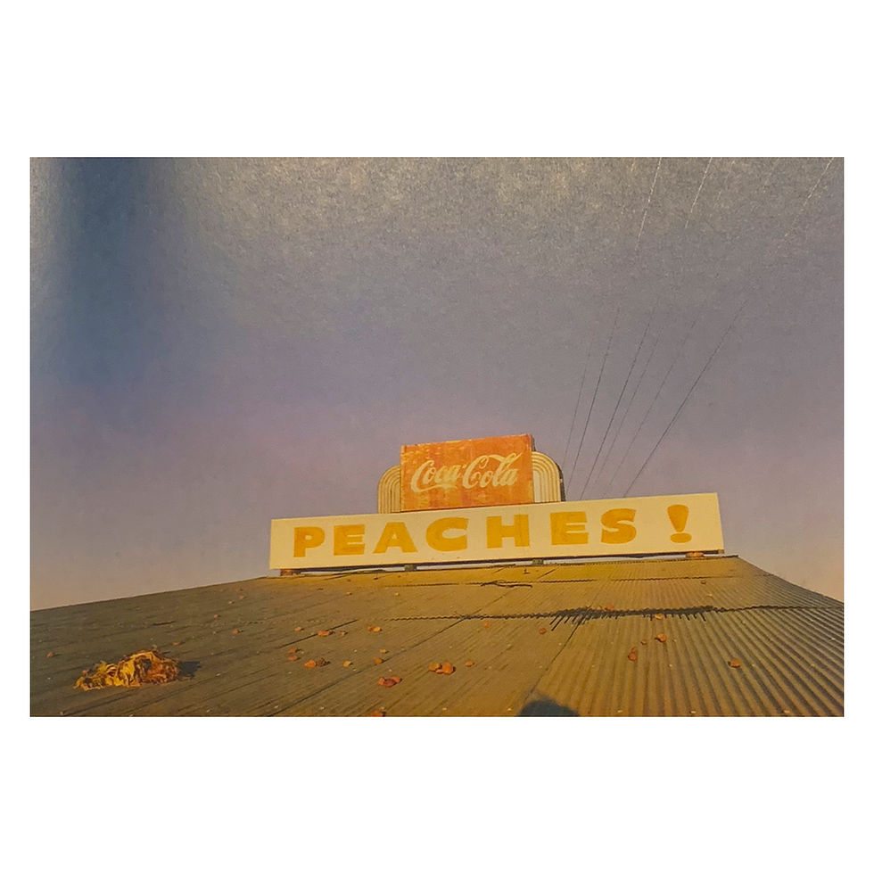 Miniatura: Ancient and Modern - William Eggleston