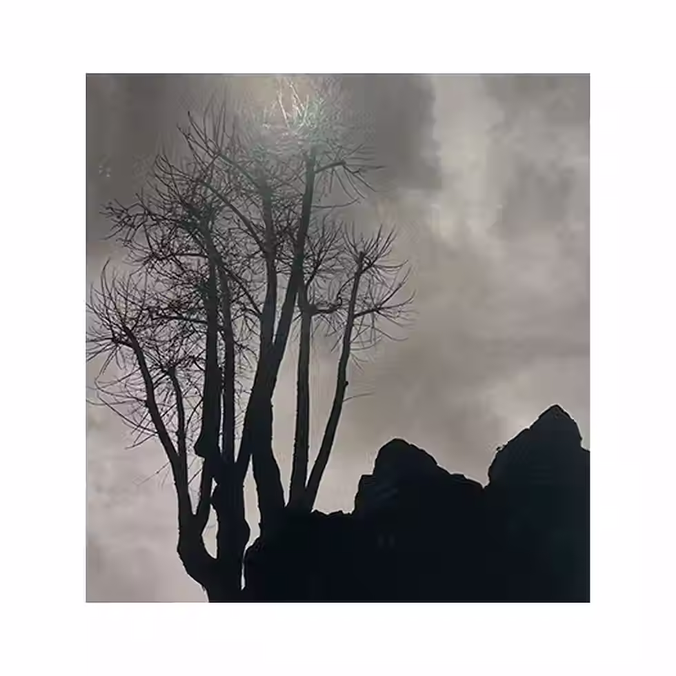 Miniatura: Graciela Iturbide - Graciela Iturbide