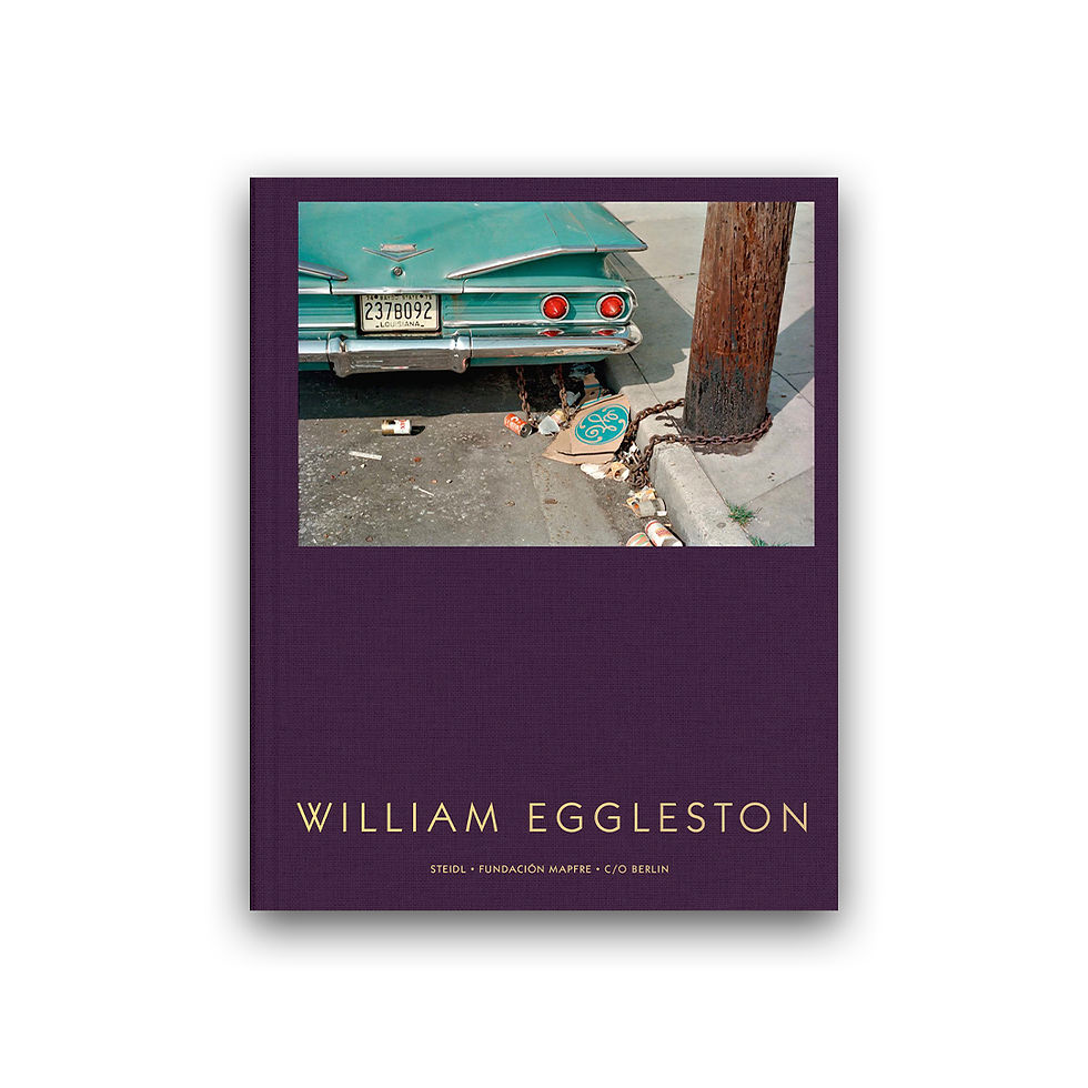William Eggleston - El Misterio de lo Ordinario