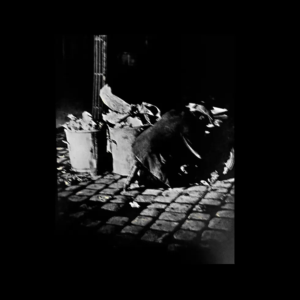 Miniatura: Paris by Night - Brassaï
