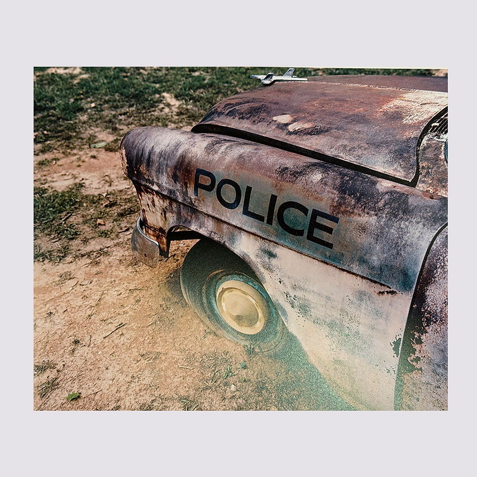 Miniature : Avis - Patrick Sansone