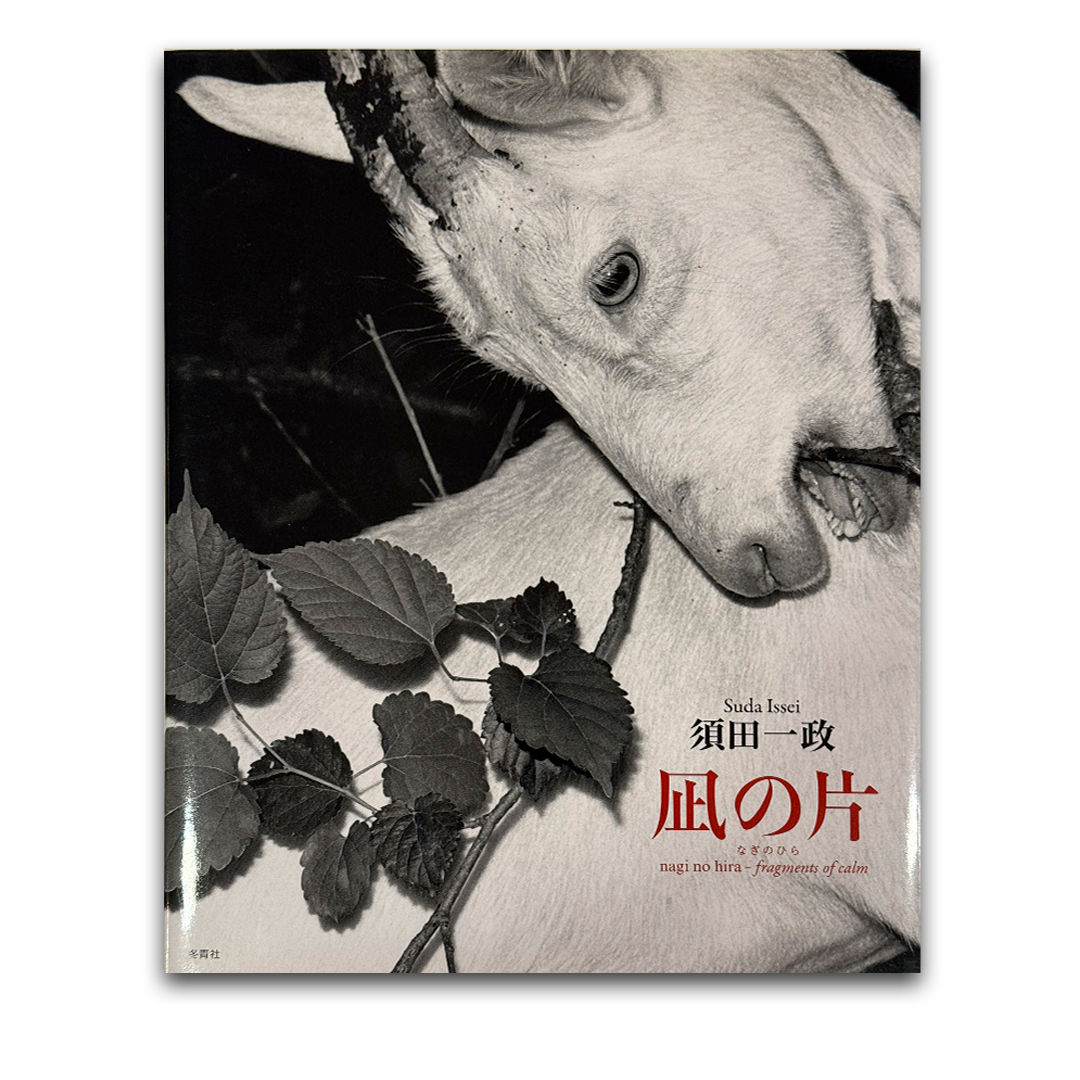 Nagi no Hira / Fragments of Calm - Issei Suda