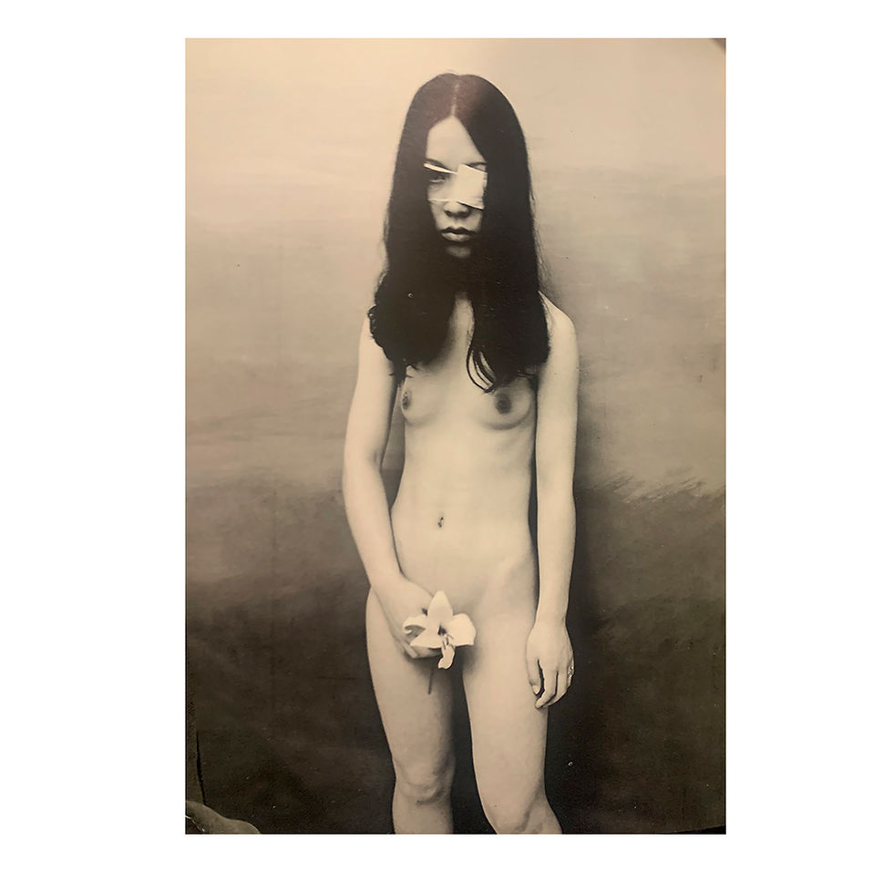 Miniature : An Iota of Life and Death - Araki Nobuyoshi