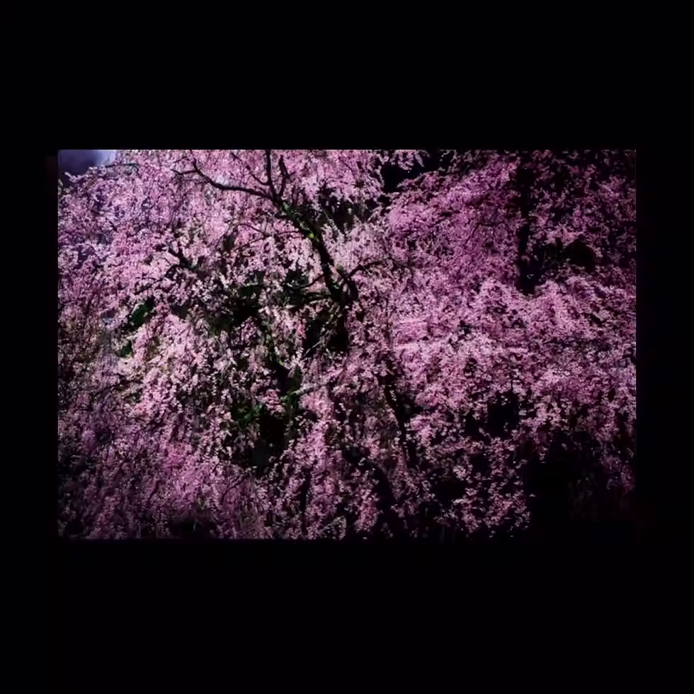 Miniature : Lost in Kyoto - Yasuhiro Ogawa