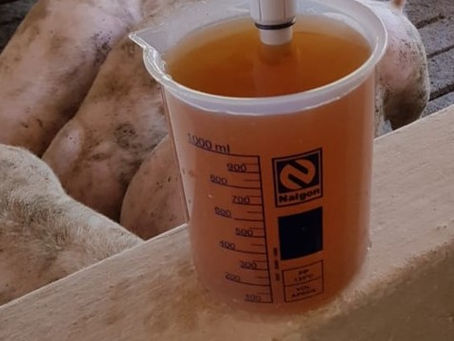 Amostra de água contaminada com compostos à base de ferro e manganês