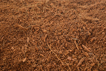 Cocopeat close-up background- product image.jpg