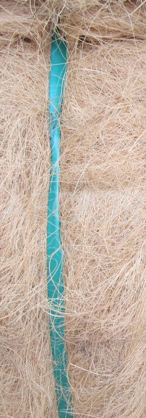 WHITE FIBER