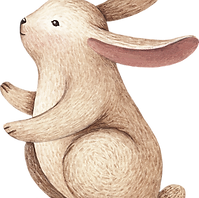 Drawing of Rabbit