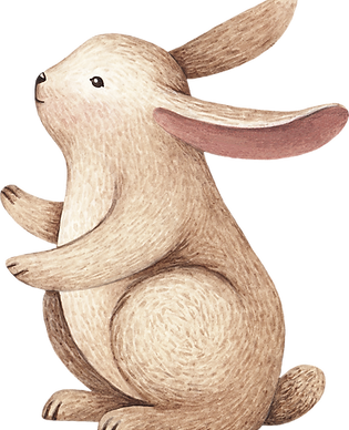 Drawing of Rabbit