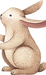 Drawing of Rabbit