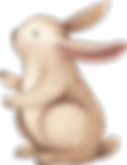 Drawing of Rabbit