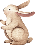 Drawing of Rabbit