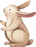 토끼의 그림