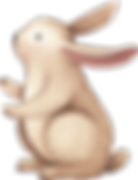 Drawing of Rabbit