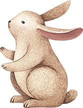 ウサギの描画