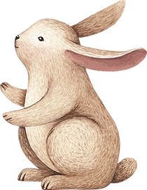 Drawing of Rabbit