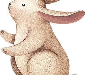 ウサギの描画