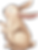 ウサギの描画