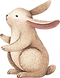 Drawing of Rabbit