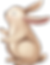 ウサギの描画