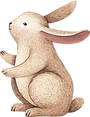 Drawing of Rabbit