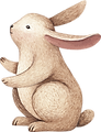 ウサギの描画