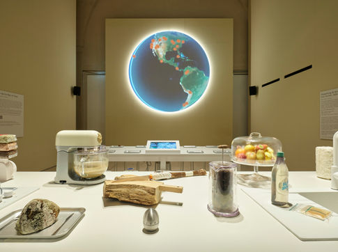 SOIL: The World at Our Feet, Somerset House, 2025. Photographer Reinis Lismanis