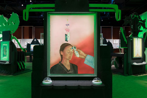 Rooted Beings, Wellcome Collection, Exhibition Lighting, 2022