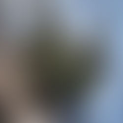 Désodorisant pour la maison