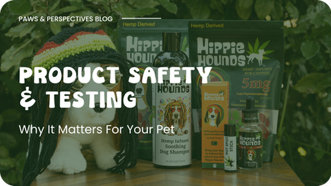 Product Testing and Safety: Why It Matters for Your Pet