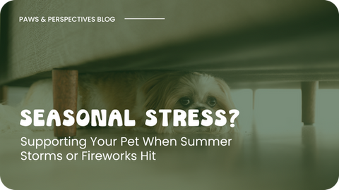 A small dog hides under a couch, peeking out with wide, anxious eyes. Text reads “Seasonal Stress? Supporting Your Pet When Summer Storms or Fireworks Hit” from the Paws & Perspectives Blog by Hippie Hounds.