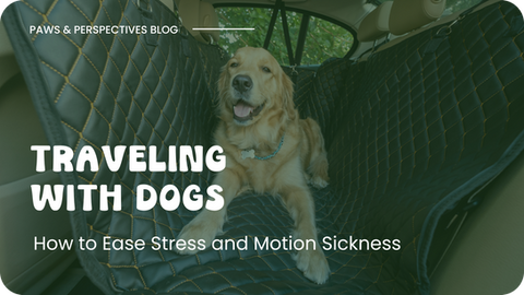Traveling with Dogs: How to Ease Stress and Motion Sickness
