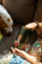 hippie hounds edit-08.jpeg