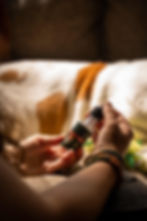 hippie hounds edit-11.jpeg