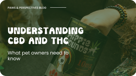 Understanding CBD and THC: What Pet Owners Need to Know