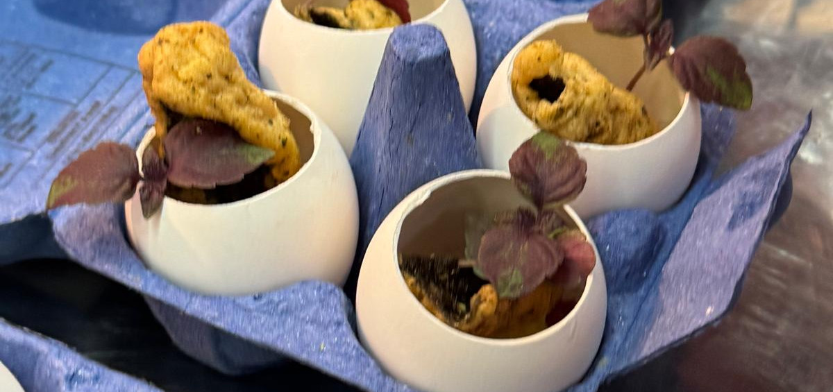 Streetfood Architects | Fine Food Voyager