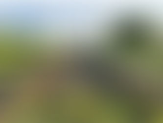 Ziele setzen oder treiben lassen – zwei Wege ins Jahr 2026. Und ja: Beide sind erlaubt.