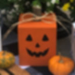 Big Pumpkin & Little Pumpkin