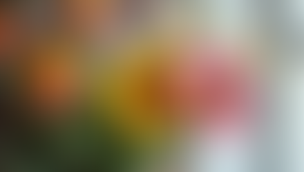 What Makes Artisan Floristry Special in Franklin