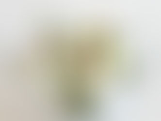 Luxury same-day flower delivery in Brentwood and Franklin TN by Laurel & Leaf florist