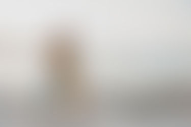 John & Emma Surprise Proposal | Florida Keys and Marathon, FL Photographer | Tranquility Bay Resort