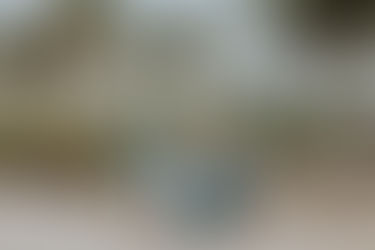 Bichler Family | Isla Bella Beach Resort and Marathon, FL Family Photographer | Florida Keys Family Portraits